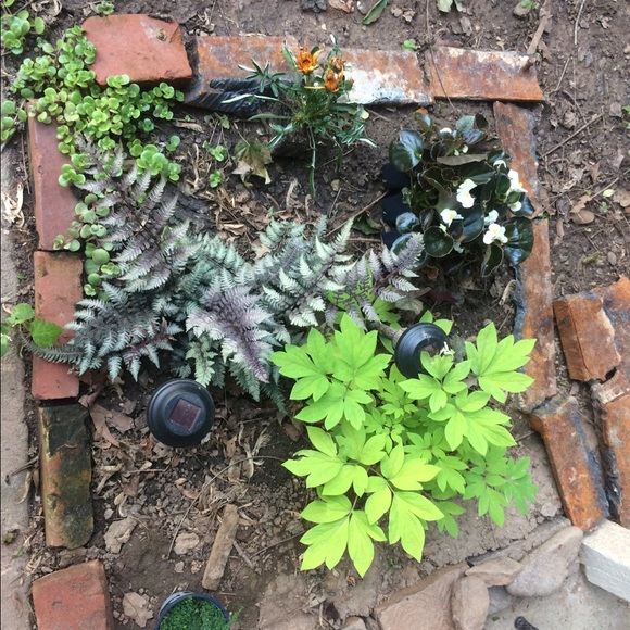 Meet your Posher, Heather - Picture 7 of 8